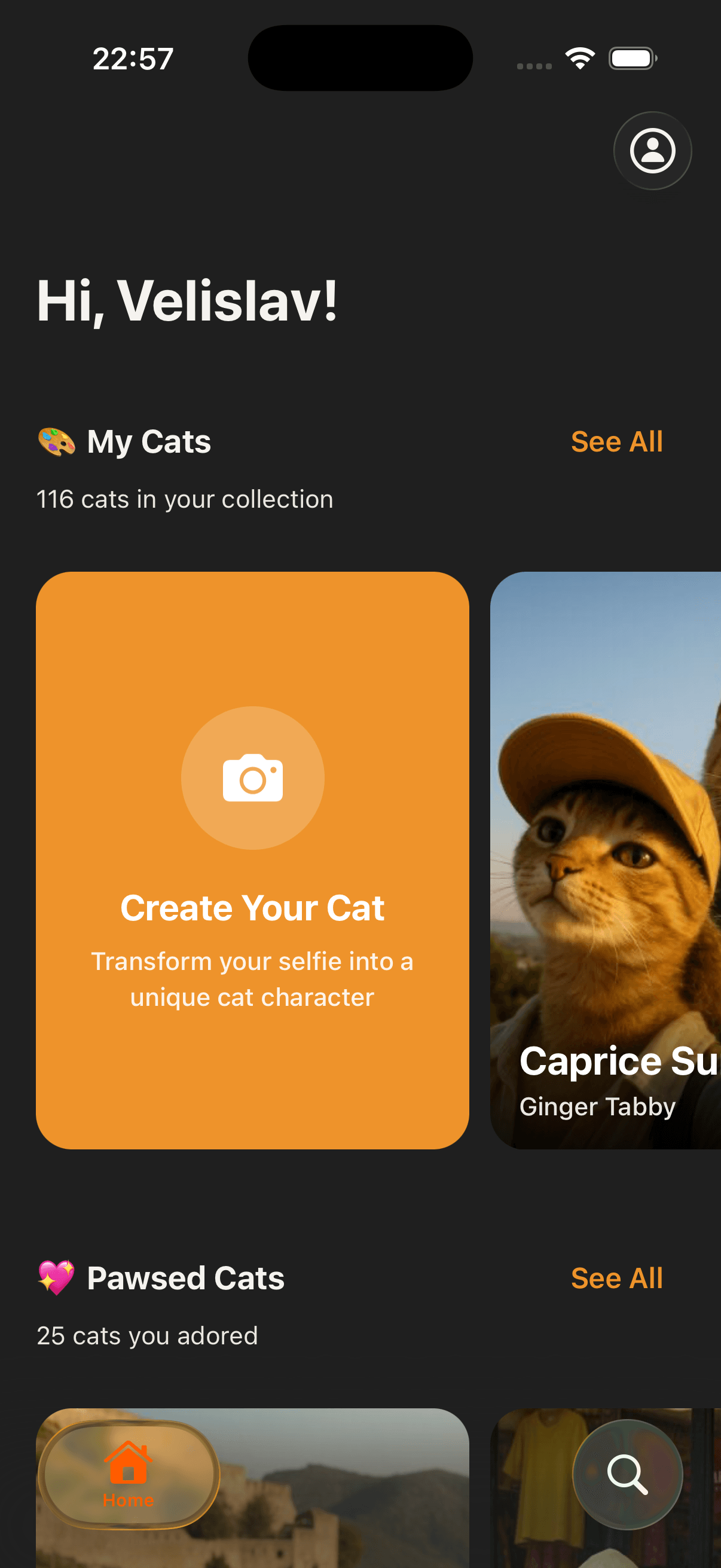 Cat Gen Home Screen